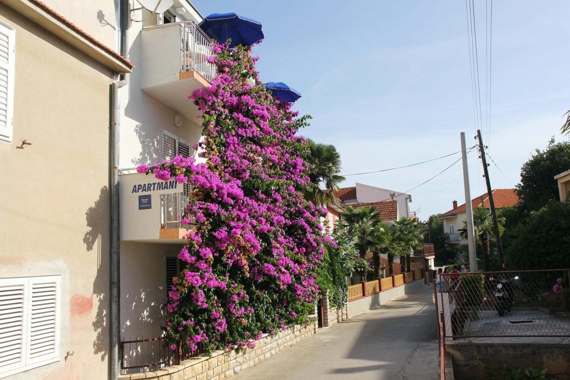 Apartments J&R Babara Biograd Na Moru Room photo